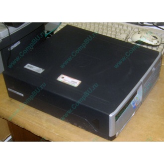 Компьютер HP DC7100 SFF (Intel Pentium-4 520 2.8GHz HT s.775 /1024Mb /80Gb /ATX 240W desktop) - Пермь