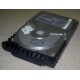 Жесткий диск 18.4Gb Quantum Atlas 10K III U160 SCSI (Пермь)