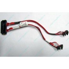 SATA-кабель для корзины HDD HP 451782-001 459190-001 для HP ML310 G5 (Пермь)