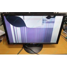 ViewSonic VA2413WM-2 разбитая матрица (Пермь)