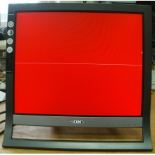 Монитор 17" TFT Sony SDM-HS75 (Пермь)