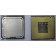 Процессор Intel Celeron D 336 (2.8GHz /256kb /533MHz) SL98W s.775 (Пермь)