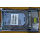 HDD 146.8Gb HP 360205-022 404708-001 404670-002 (Пермь)