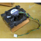 Intel C24751-002 (Пермь)