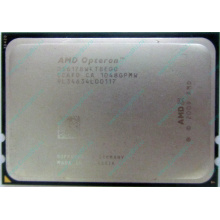Процессор AMD Opteron 6128 (8x2.0GHz) OS6128WKT8EGO s.G34 (Пермь)